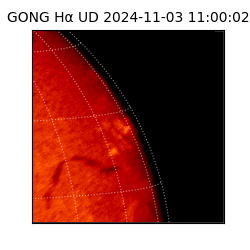 gong - 2024-11-03T11:00:02