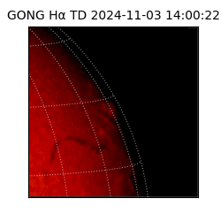 gong - 2024-11-03T14:00:22