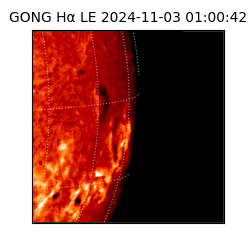 gong - 2024-11-03T01:00:42