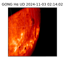 gong - 2024-11-03T02:14:02