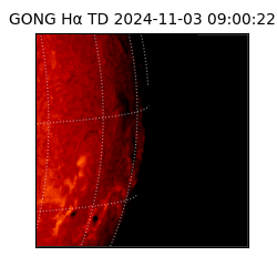 gong - 2024-11-03T09:00:22