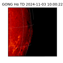 gong - 2024-11-03T10:00:22