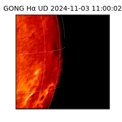 gong - 2024-11-03T11:00:02