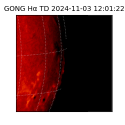 gong - 2024-11-03T12:01:22