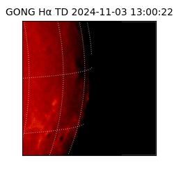 gong - 2024-11-03T13:00:22
