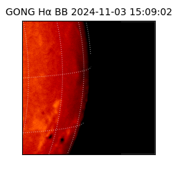 gong - 2024-11-03T15:09:02