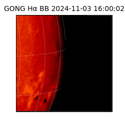 gong - 2024-11-03T16:00:02