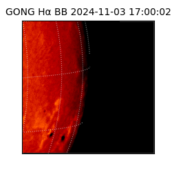 gong - 2024-11-03T17:00:02