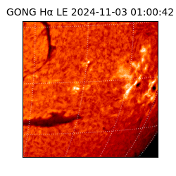 gong - 2024-11-03T01:00:42