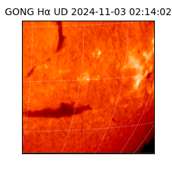 gong - 2024-11-03T02:14:02