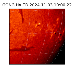 gong - 2024-11-03T10:00:22