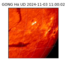 gong - 2024-11-03T11:00:02