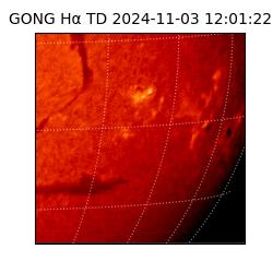 gong - 2024-11-03T12:01:22