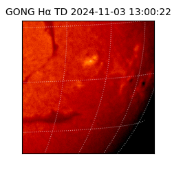 gong - 2024-11-03T13:00:22