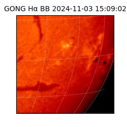 gong - 2024-11-03T15:09:02