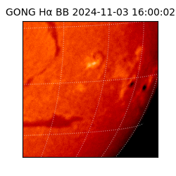 gong - 2024-11-03T16:00:02