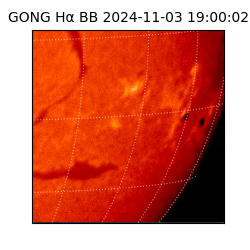 gong - 2024-11-03T19:00:02