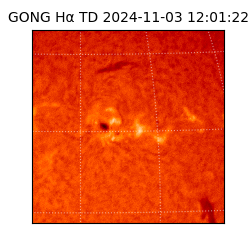 gong - 2024-11-03T12:01:22