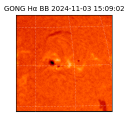 gong - 2024-11-03T15:09:02