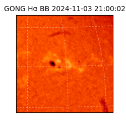 gong - 2024-11-03T21:00:02