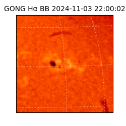 gong - 2024-11-03T22:00:02