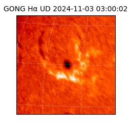 gong - 2024-11-03T03:00:02