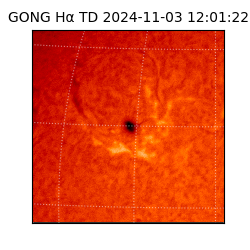 gong - 2024-11-03T12:01:22