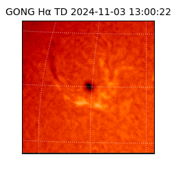 gong - 2024-11-03T13:00:22