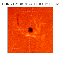 gong - 2024-11-03T15:09:02