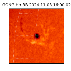 gong - 2024-11-03T16:00:02