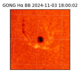 gong - 2024-11-03T18:00:02