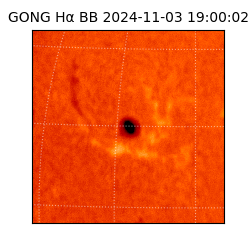 gong - 2024-11-03T19:00:02