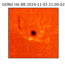 gong - 2024-11-03T21:00:02