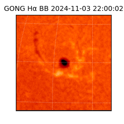 gong - 2024-11-03T22:00:02