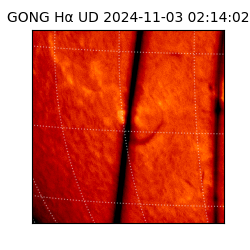 gong - 2024-11-03T02:14:02