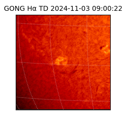 gong - 2024-11-03T09:00:22