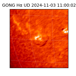 gong - 2024-11-03T11:00:02