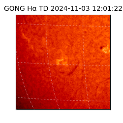 gong - 2024-11-03T12:01:22