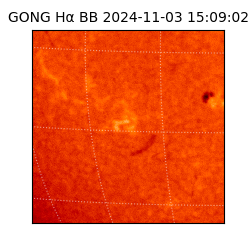 gong - 2024-11-03T15:09:02