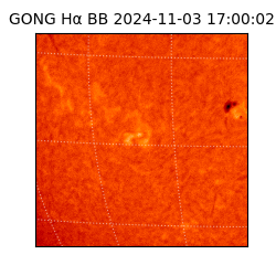 gong - 2024-11-03T17:00:02