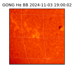 gong - 2024-11-03T19:00:02