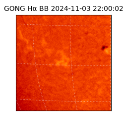 gong - 2024-11-03T22:00:02