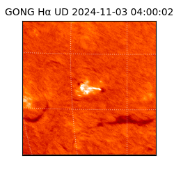 gong - 2024-11-03T04:00:02