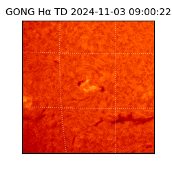 gong - 2024-11-03T09:00:22