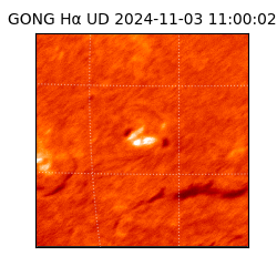 gong - 2024-11-03T11:00:02