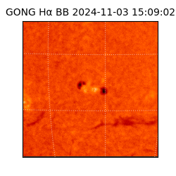 gong - 2024-11-03T15:09:02