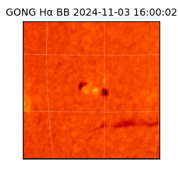 gong - 2024-11-03T16:00:02