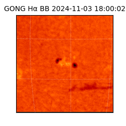 gong - 2024-11-03T18:00:02