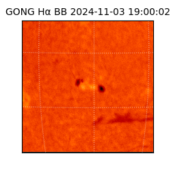 gong - 2024-11-03T19:00:02