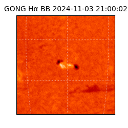 gong - 2024-11-03T21:00:02